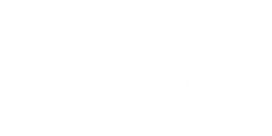 logo-gpseng