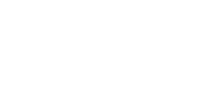 logo-toyo-2